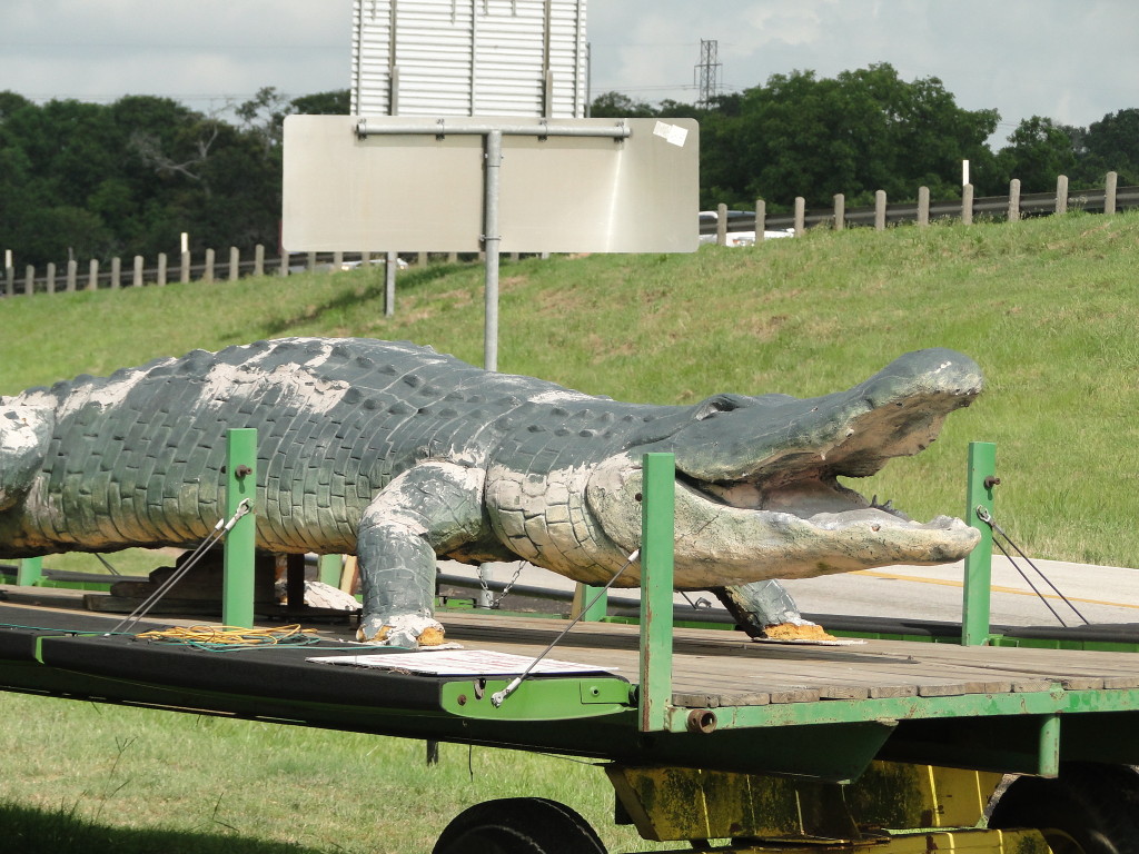 pic of fake aligator on trailer
