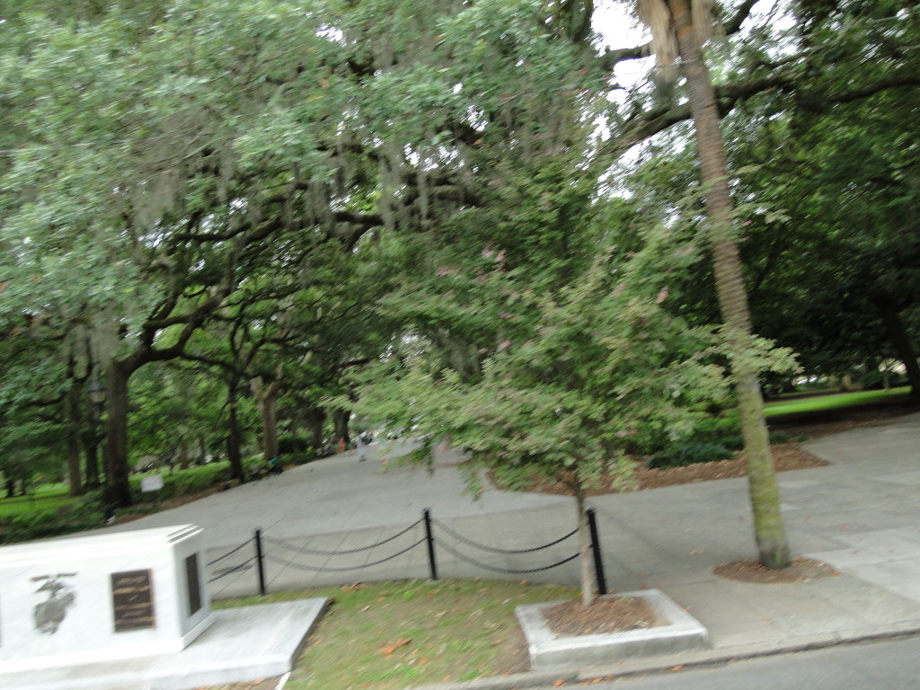 Pic of Savannah