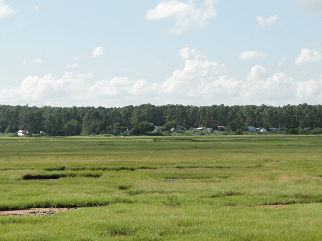 pic of Open land  Chincoteague